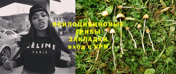 гидра Алексин
