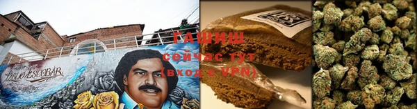 гидра Алексин