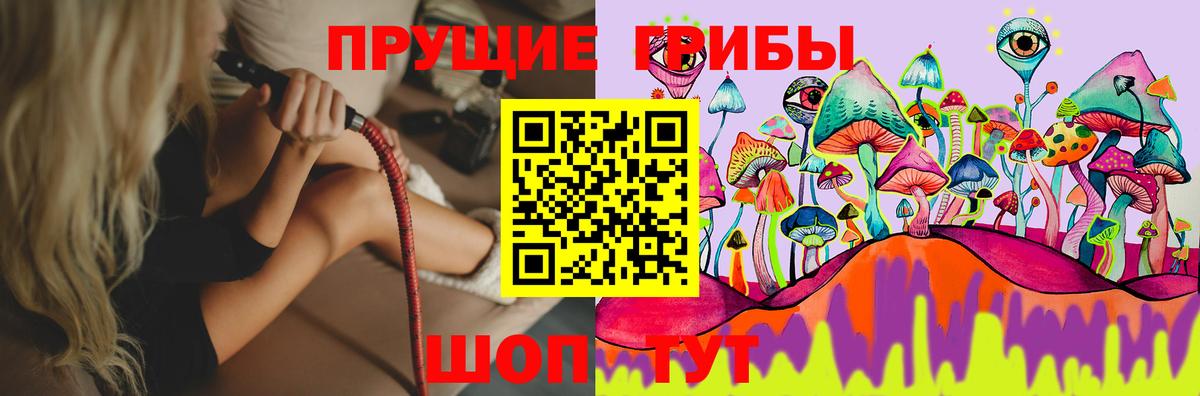 Троицк  Псилоцибиновые грибы прущие грибы  Вход с VPN 